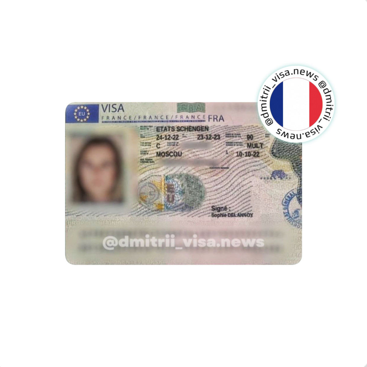 Виза во Францию на 1 год